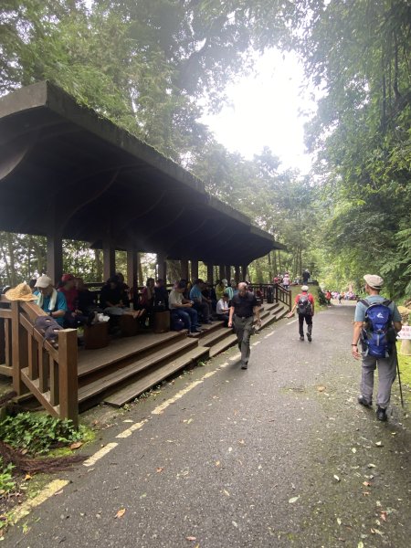 溪頭散步悠遊    2024.5.202517669