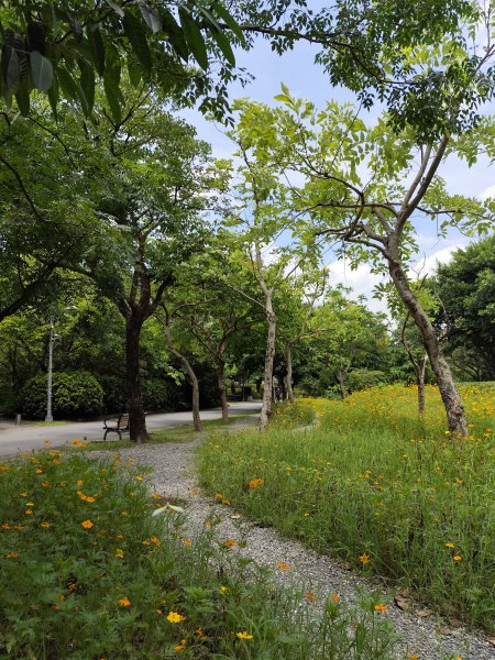 大安森林公園【走路趣尋寶】【臺北健走趣】2551449