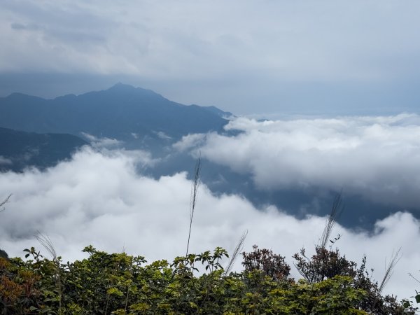 鵝公髻山-迷霧森林2768518