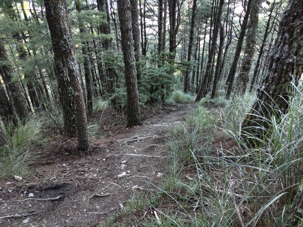 北一段(02/14)多加屯前峰2025_0906~132885116