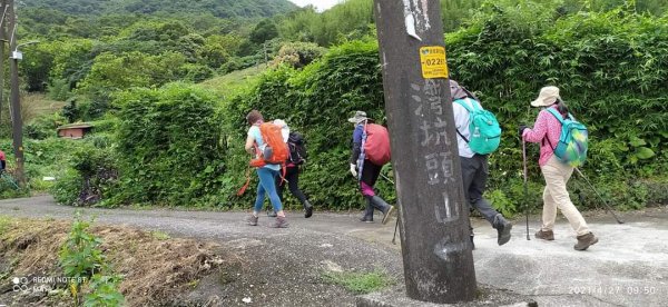 灣坑頭山-吾居吾墅山路上，山徑原始、有溪流潺潺、穿撥箭林出、蠻好玩1365289