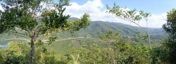 坪林區仁里坂橋-仁里坂山-金瓜寮土地公-仁里坂橋O型3132802