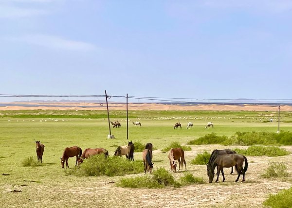多彩塞北阿拉善.騰格里沙漠六湖穿越2920089