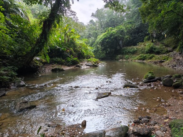 微笑山線：【五分山系】望古瀑布段2959894
