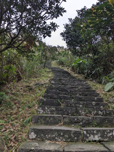 金瓜石九份2981413