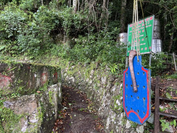 [皮皮獅探險隊-08/10] 2025_0719 李崠山步道2842969