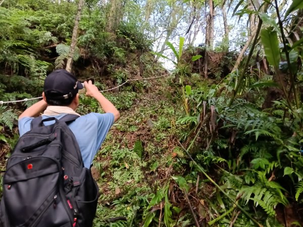 雙溪區后番子坑古道+后番子坑山+平湖東步道+大坑山+下內平林山+上內平林步道出平水2972942