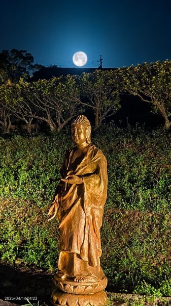 #翡翠水庫壩頂 #日出雲海 #火燒雲 #霞光 #月圓 #松月櫻 #鱷魚島雲海 4/14 & 162760613