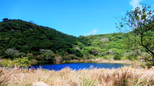 向天蝦不蝦2936809