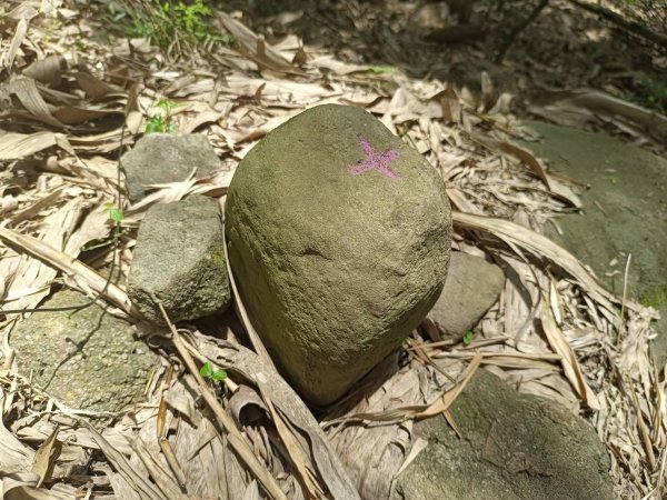 20220430南投國姓埔里菅蓁巷山、大石股山、青番頭坑山、種瓜路山、頂草湳山、桃米坑山、牛相山基石1694246