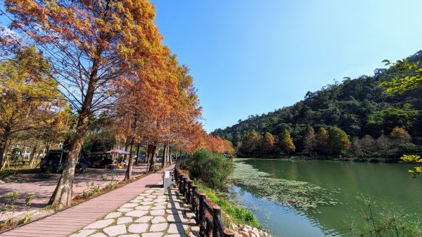 望龍埤,鎮頭山,蜊埤湖2391840