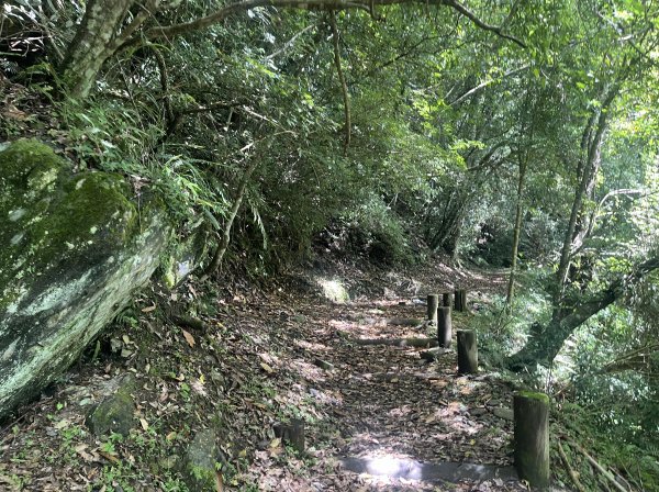 2025_0622 霞喀羅國家步道(石鹿端)2819525