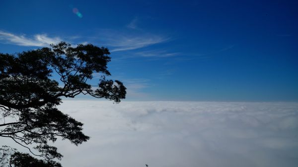 忙彈山-西大武110015