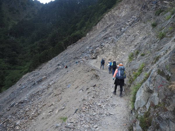 奇萊南華高峰之旅兩天一夜⛰️最受歡迎的新手百岳🏘️1833337