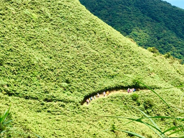 巴唐古道、三角崙山、聖母山莊步道O走1748500