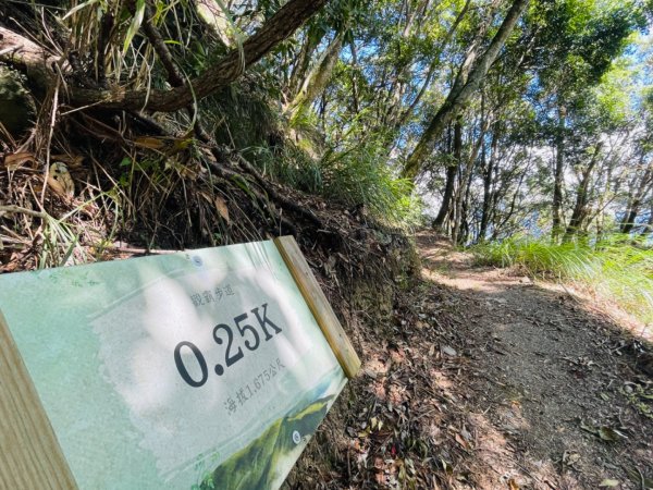 1140824司馬庫斯觀霸步道-賞楓步道2871100