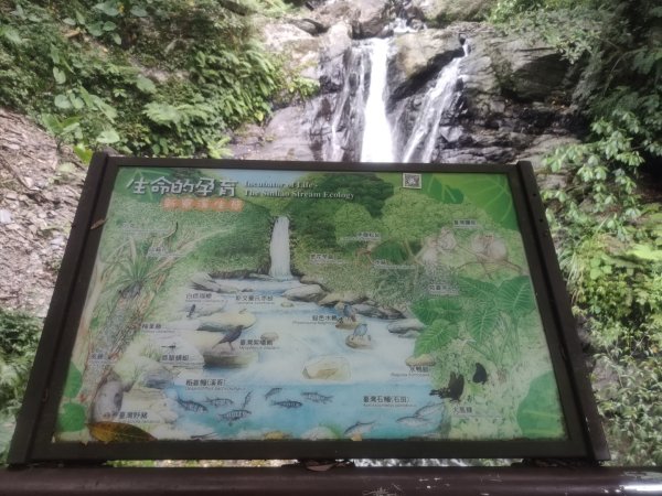 1150728新寮瀑布步道3096894
