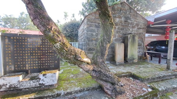 20250218 金柑樹山+忘憂森林2719529