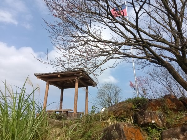 大尖山櫻花-龍船洞-秀峰瀑布2733738