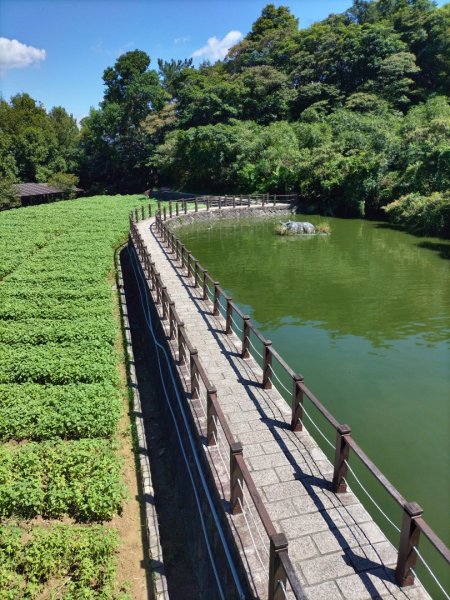 8/21銀河洞…銀河洞越嶺道…樟湖步道…樟樹步道2258507