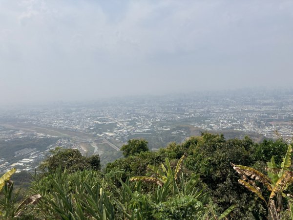 20230325三汀山2102684