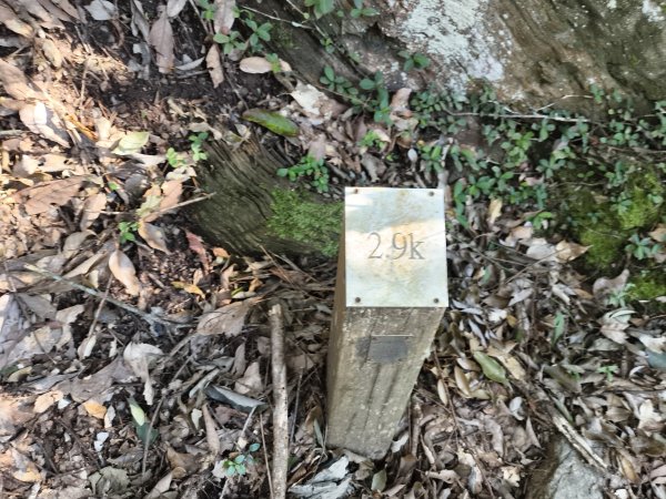 [玉山尋寶任務-07/12] 2025_0824 八通關雲龍瀑布步道2870561