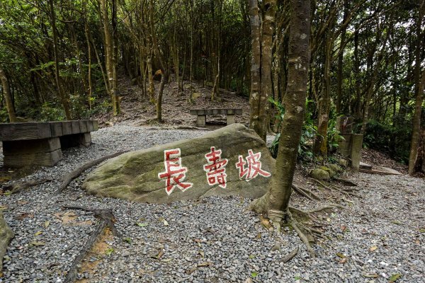 大崙頭尾山｜小百岳2756487