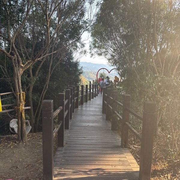 20260218 台中－臺灣百大必訪步道大坑9、10號步道3006439