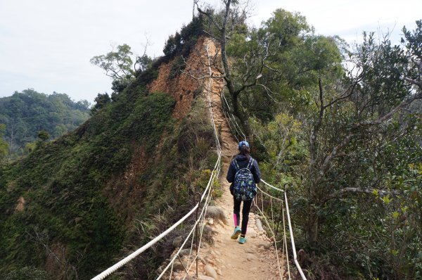 三義焱山，北鞍古道859333