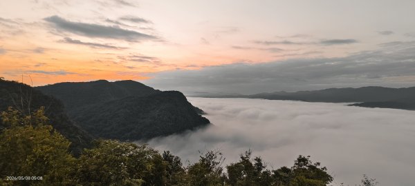 #翡翠水庫壩頂 #月亮 #日出 #雲海 #藍腹鷴母鳥 5/8&133050274