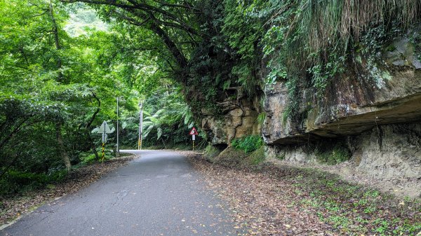 四分尾山,勤進路2515135