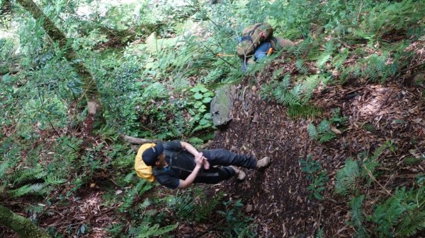 雙龍林道上巒安堂西巒大山1778597