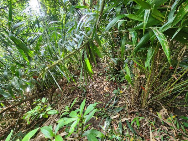 20251214石牛山柑坪山新柑坪山牛背岩2972746