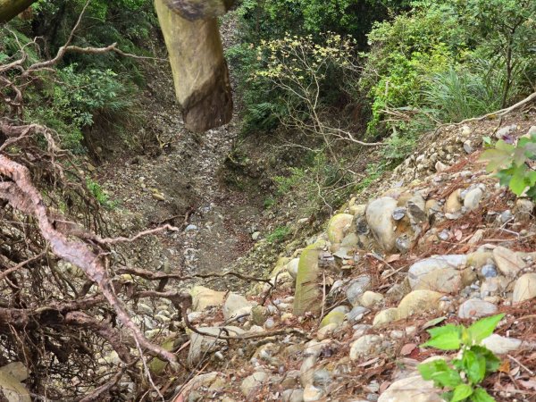 台中大坑4號登山步道2751101