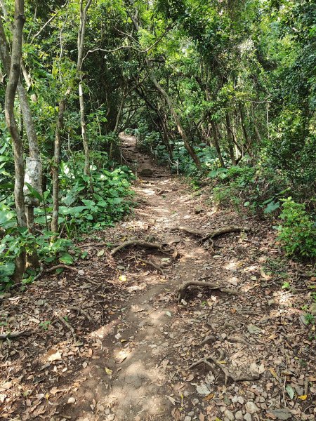 臺北大縱走第一段：關渡至二子坪2790225