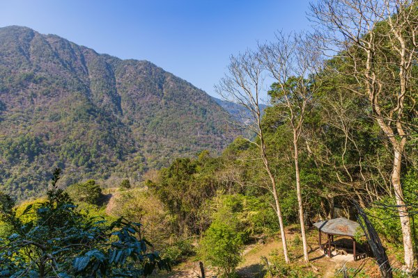 谷關七雄_唐麻丹山3015650
