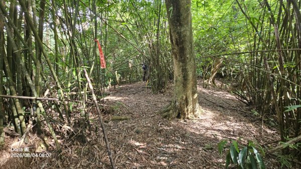 頭城農場→梗枋百年古道→坪溪古道→象寮古道→石空古道→石空山→岩藏山O型3097576