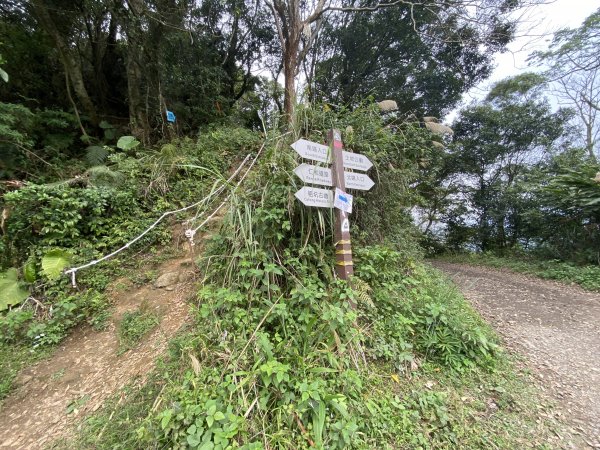 勞工中心連走清水坑山>石門山>小粗坑1318501