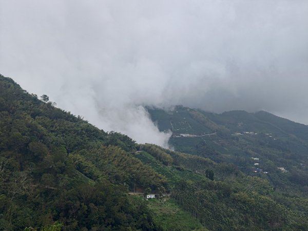 華山4-2號步道上雲嘉連峰2579388