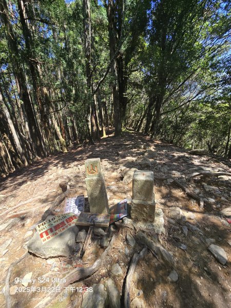 2025-03-22油羅山步道2743426
