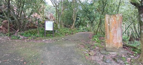 關子嶺大凍山.台南白河+嘉義大埔2877504