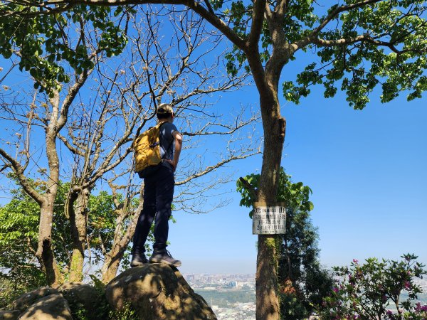 小百岳No.19⛰福德坑山(鳶山)2739707