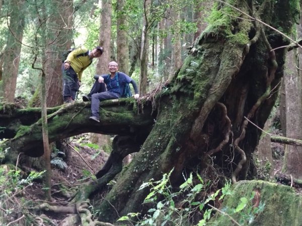 20250517義義兒玉山-東水山2791643