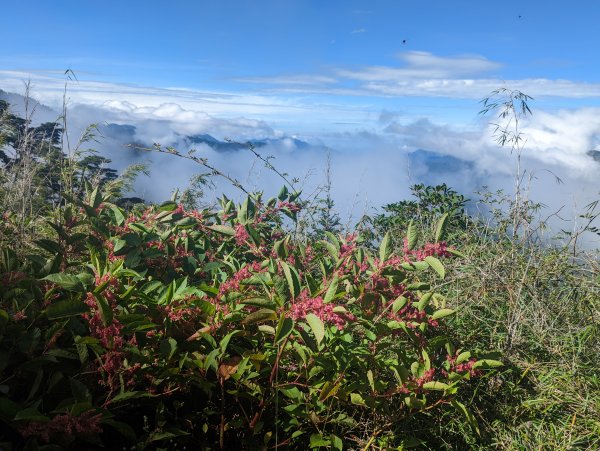 玉山西峰及山神廟、玉山主峰賞日出1838085