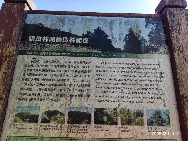 【臺北大縱走 2】【第二回合全程完成證書】鞍部→大屯山步道→大屯山主峰→大屯坪步道→二子坪步道2960399