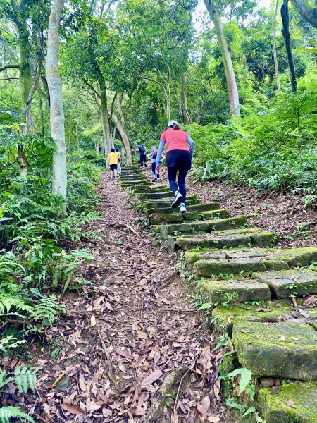 20240526-2024探旅新北定向越野系列賽-土城場2525832