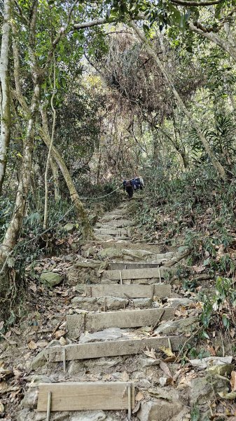 240421-魔王小百岳#073尾寮山-二刷。美美兔假日單飛，來個自虐行程。2492849