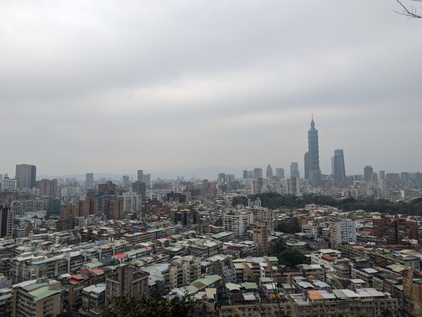 2024-01-28 福州山公園2793297