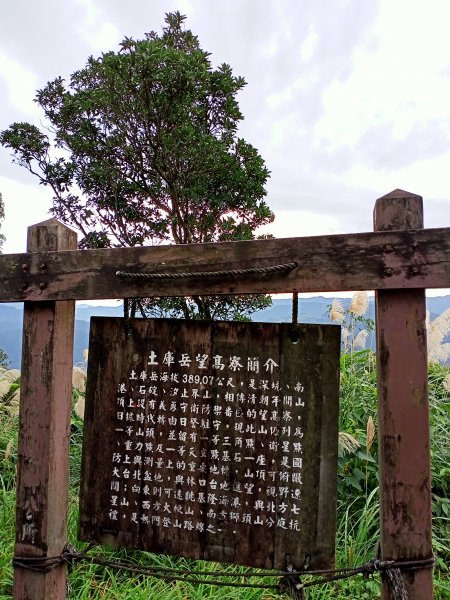 【小百岳集起來】土庫岳芒花飄逸、楓紅絢麗1221963