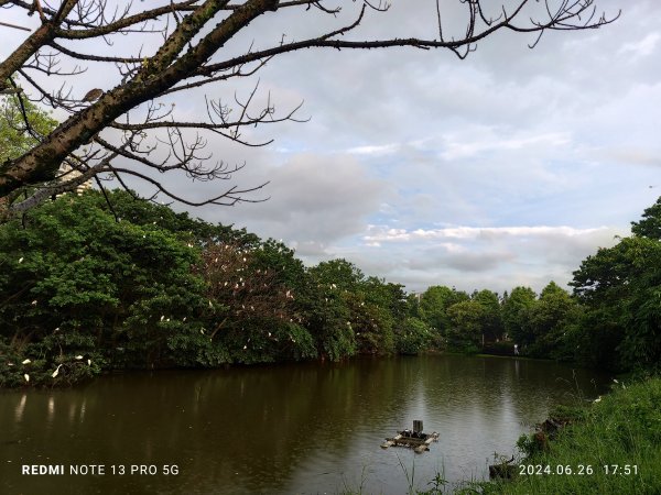 大安森林公園、寧夏夜市、士林夜市【走路趣尋寶】【臺北健走趣】2536332